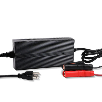 Renogy 12V 20A / 24V 10A AC-to-DC LFP Portable Battery Charger
