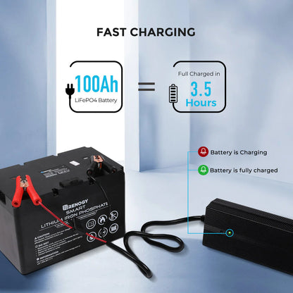 Renogy 12V 20A / 24V 10A AC-to-DC LFP Portable Battery Charger