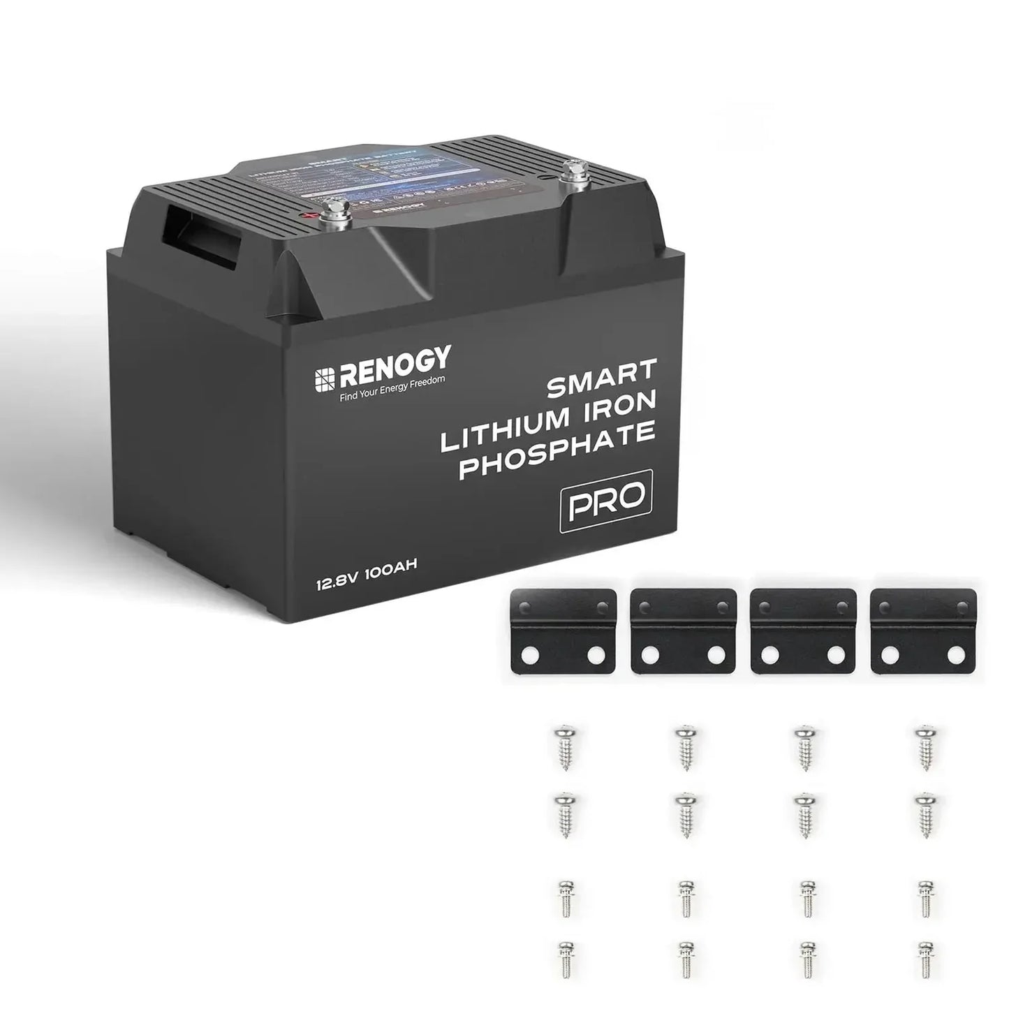Renogy Pro Smart LiFePO4 Battery – 12V 100Ah / 200Ah with Bluetooth & Self-Heating